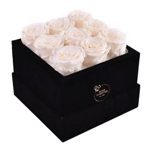 Rose Forever - Essential Black Velvet Ivory Preserved Roses | Timeless Elegance for Home Decor